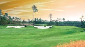 Things To Do https://nestvacationrentals.icnd-cdn.com/images/thingstodo/IOP golf.jpeg